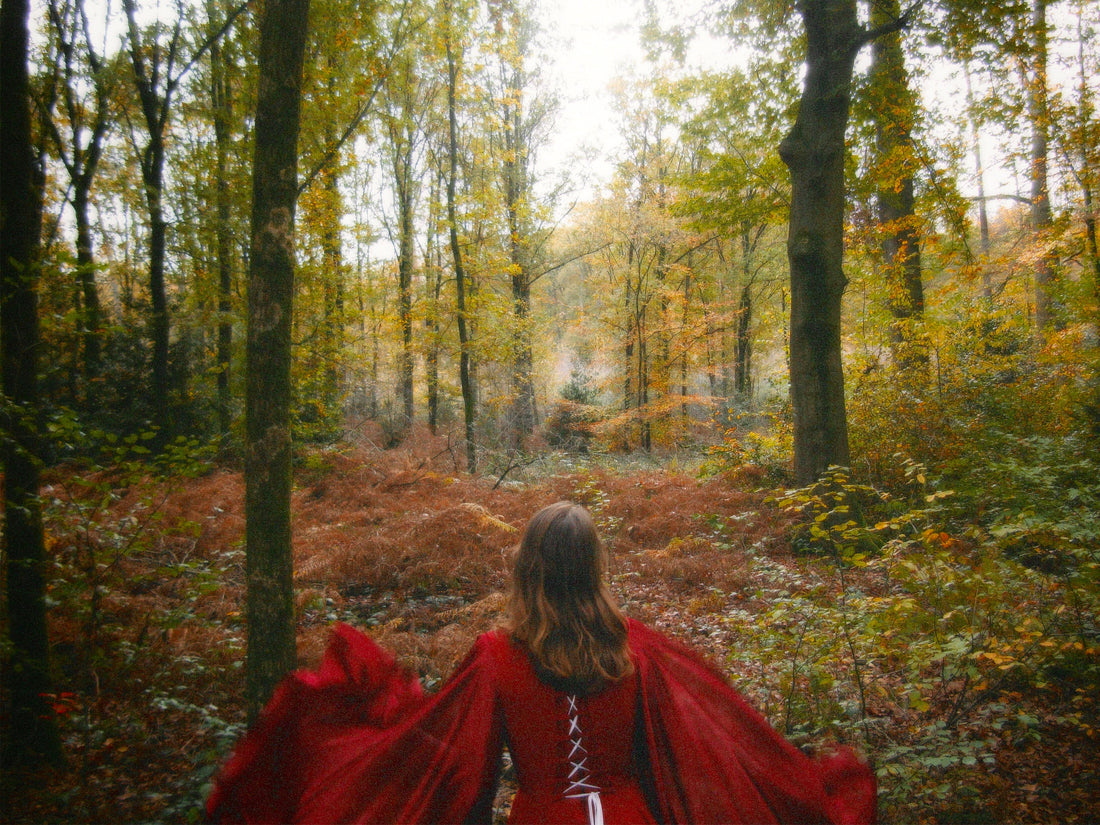 Het verhaal achter 'Kasteelrood & Koningklijk'